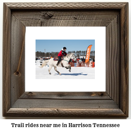 trail rides near me in Harrison, Tennessee